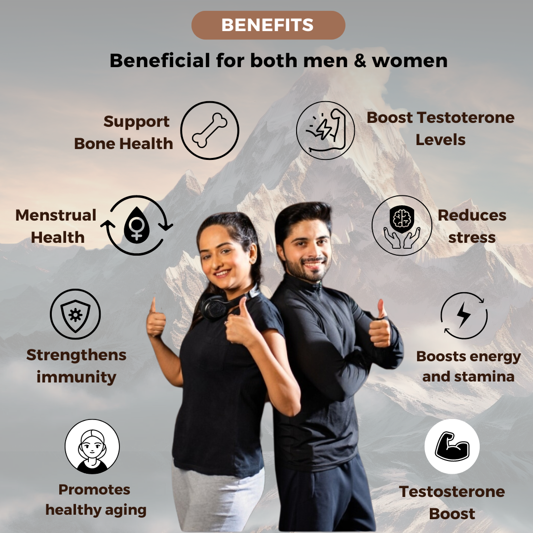 Shilajit EverliveIndia